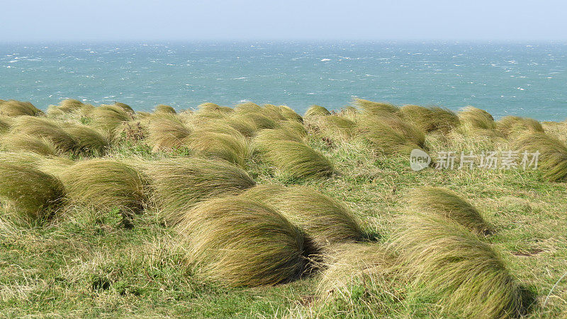 Windy Land Bluff新西兰